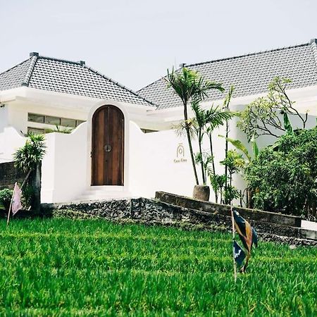 New Design Villa Casa Alma 3Bdr With Private Pool, Canggu Eksteriør bilde