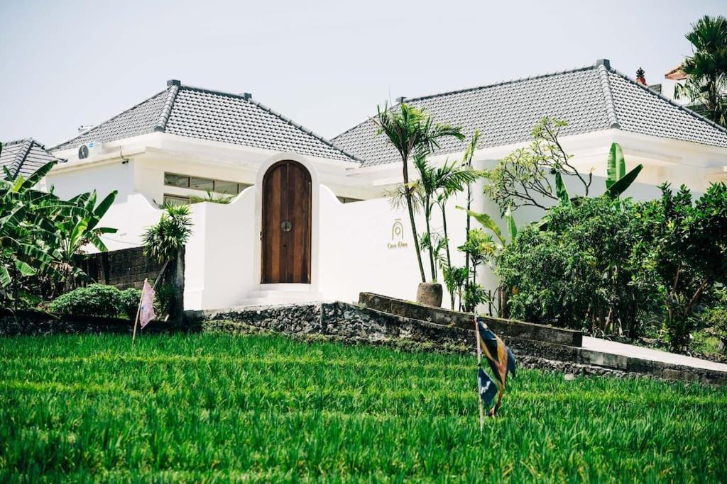 New Design Villa Casa Alma 3Bdr With Private Pool, Canggu Eksteriør bilde